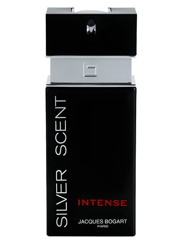 عطر سيلفر سينت انتنس - او دي تواليت - 100 مل - للرجال (JB)